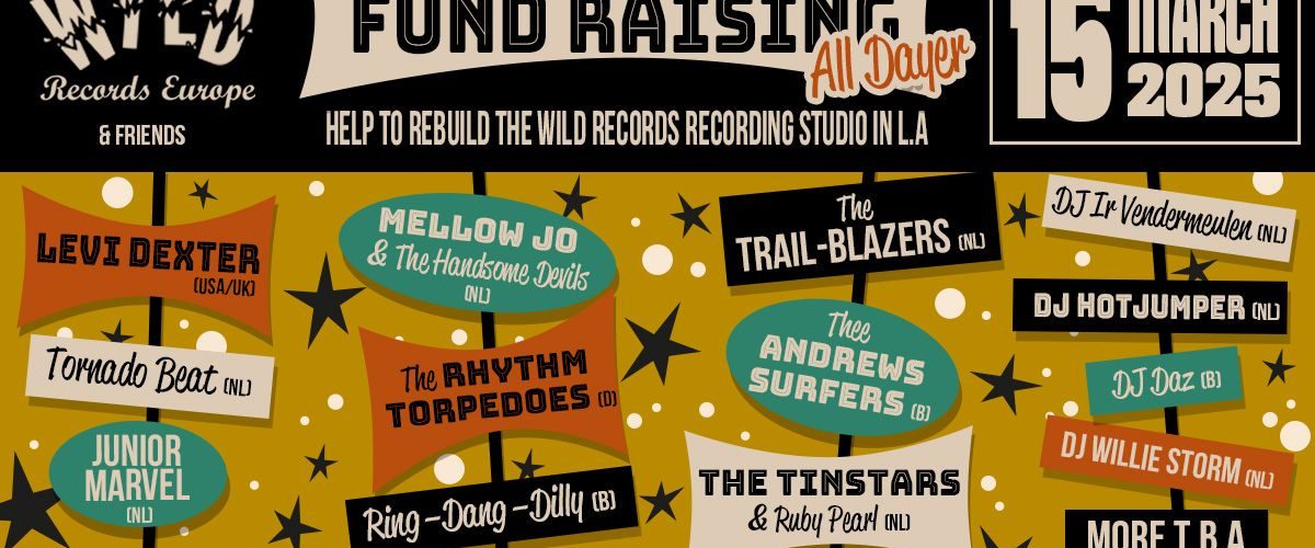 Wild Records Fund Raising | festival