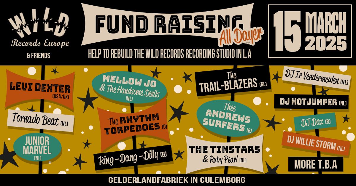 Wild Records Fund Raising | festival